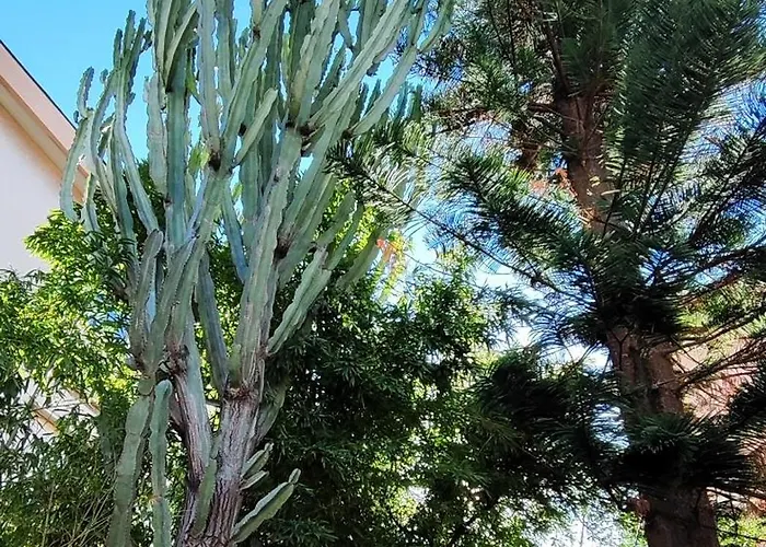 Vakantiehuis Grande *