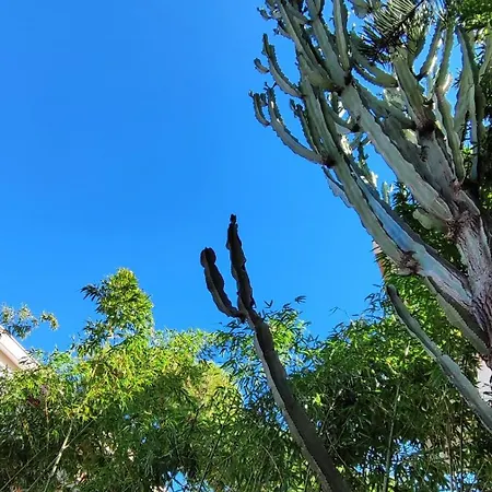 Hébergement de vacances Grande Bordighera