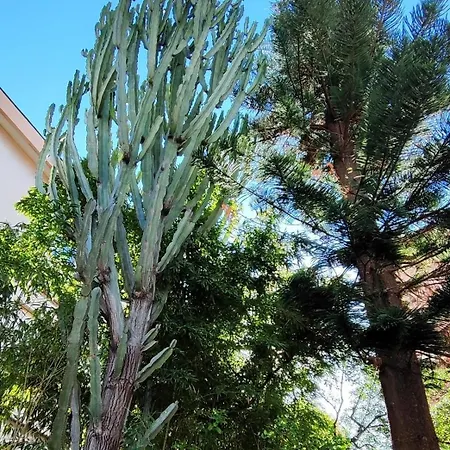 Casa vacanze Grande *